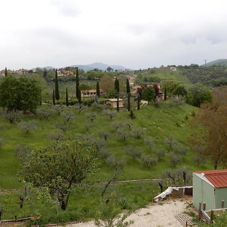 Il Gelsomino Bed & Breakfast Frasso Sabino Exterior foto