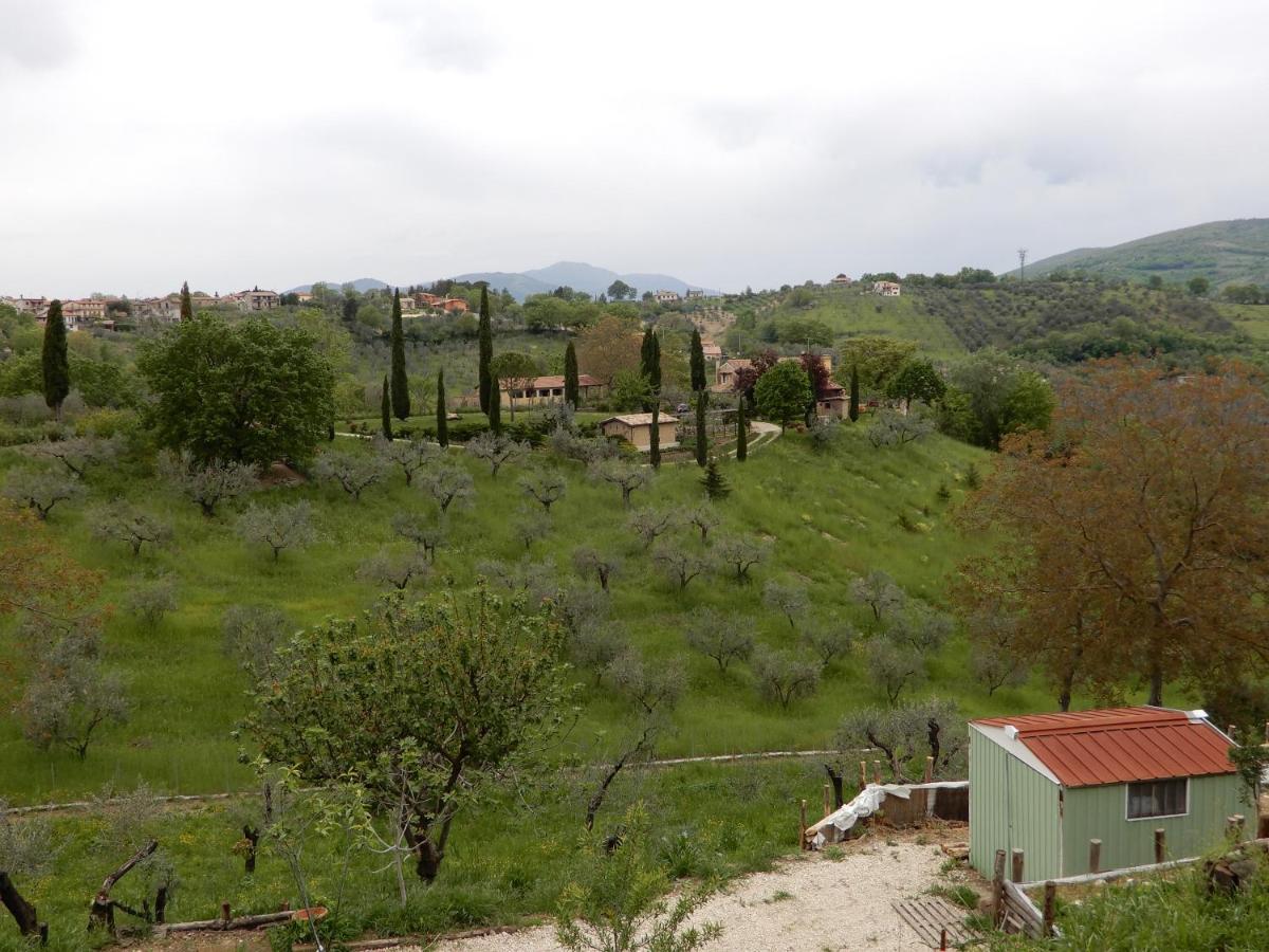 Il Gelsomino Bed & Breakfast Frasso Sabino Exterior foto