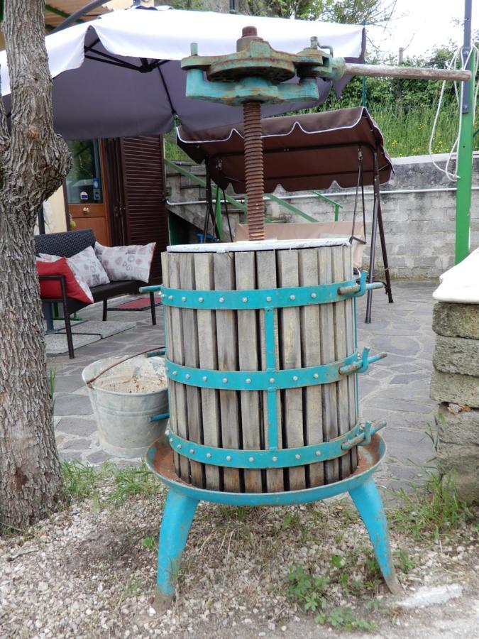 Il Gelsomino Bed & Breakfast Frasso Sabino Exterior foto