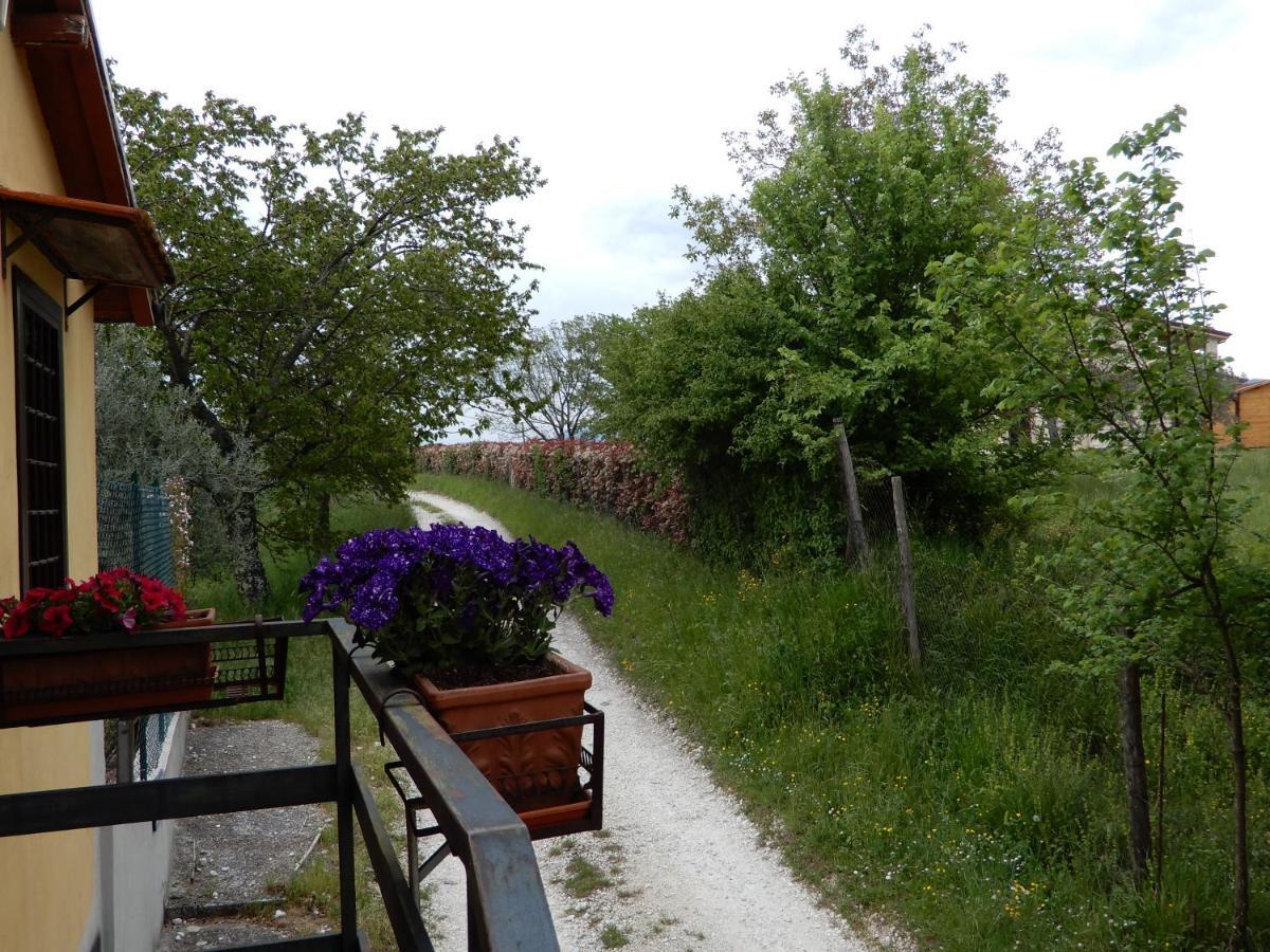 Il Gelsomino Bed & Breakfast Frasso Sabino Exterior foto